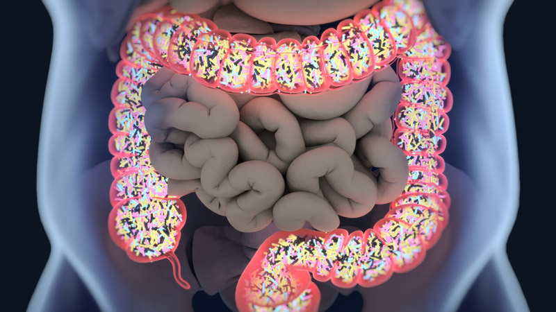 digestive2